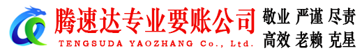 龙海腾速达清债公司